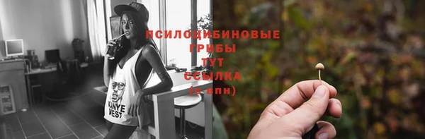 спайс Алексеевка