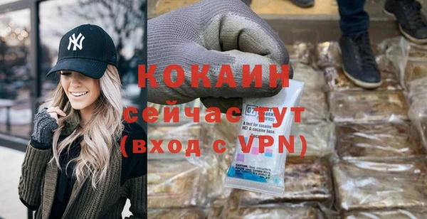 индика Гусиноозёрск