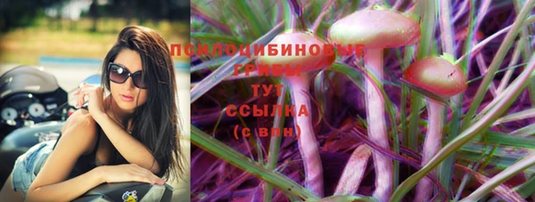спайс Алексеевка