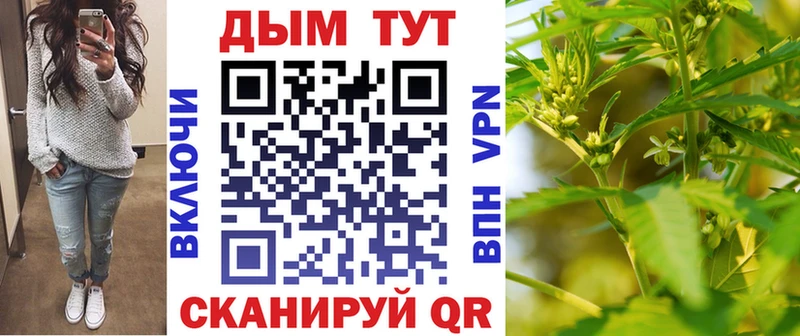 где найти   omg зеркало  МАРИХУАНА семена  Ленинградская 